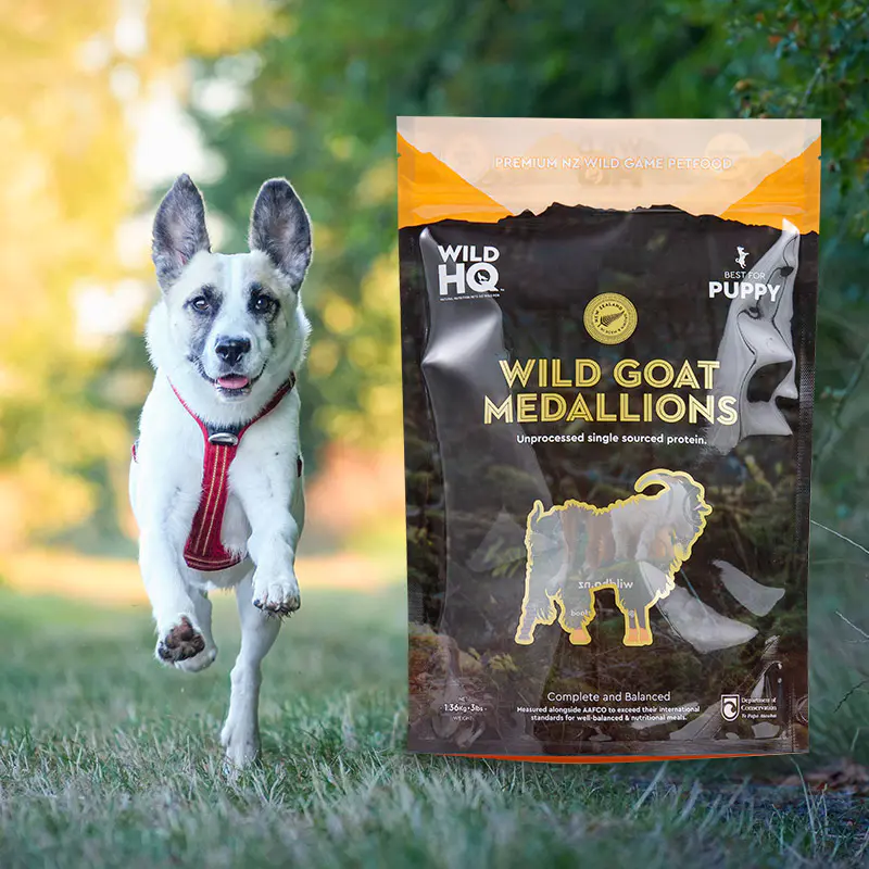 1-5 кг сумка-мешок для лакомства для собак